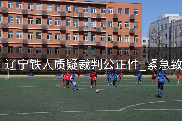 辽宁铁人质疑裁判公正性 紧急致函足协要求重审德比战裁判人选